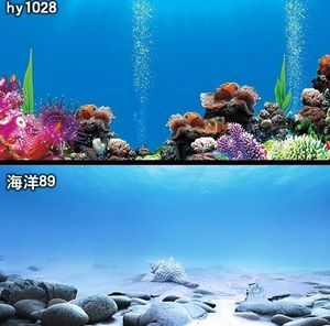 金龍魚缸背景紙什么顏色好：金龍魚缸背景紙什么顏色好金龍魚缸背景紙什么顏色好 龍魚百科 第2張