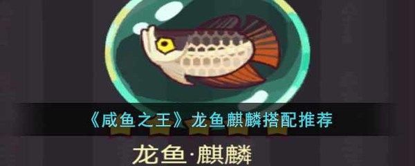 我的龍魚一直不好好吃怎么解決問題：龍魚食欲不振可能是由于多種原因引起的 龍魚百科 第2張