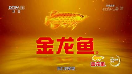 金龍魚(yú)的故事簡(jiǎn)介：金龍魚(yú)故事簡(jiǎn)介 龍魚(yú)百科 第3張