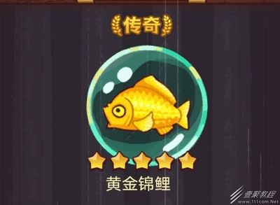 佩戴龍魚有什么好處和功效：佩戴龍魚藝術品 龍魚百科 第2張