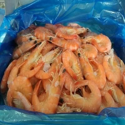 龍魚可不可以喂熟蝦：龍魚可以喂熟蝦嗎？