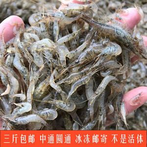 金龍魚吃蝦用去皮嗎：金龍魚吃蝦用不用去皮 龍魚百科 第1張