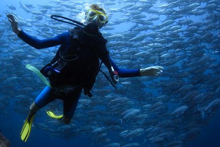 龍魚經(jīng)常往水下游：龍魚經(jīng)常往水下游動可能有多種原因及其相應的解決辦法 龍魚百科 第3張