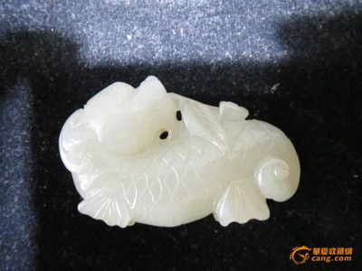 白玉龍魚特點(diǎn)是什么：白玉龍魚習(xí)性白玉龍魚的特征 龍魚百科 第2張