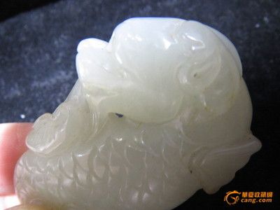 白玉龍魚特點(diǎn)是什么：白玉龍魚習(xí)性白玉龍魚的特征 龍魚百科 第3張