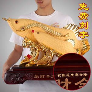 金龍魚(yú)陳總：關(guān)于金龍魚(yú)陳總的信息搜索結(jié)果中并未提供具體信息