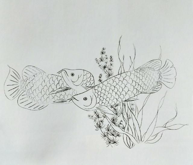 金龍魚畫魚頭朝向好嗎：繪畫金龍魚時，魚頭朝向東面不僅符合風(fēng)水原則，還能為家庭帶來好運(yùn) 龍魚百科 第2張