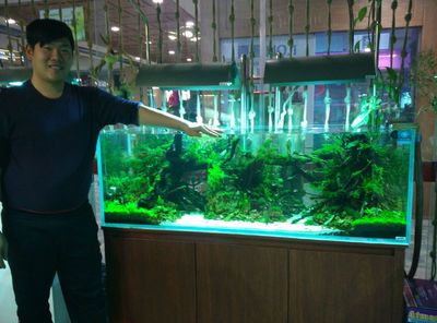 祥龍魚場d水族館加盟：昆明祥龍魚場加盟 龍魚百科 第3張