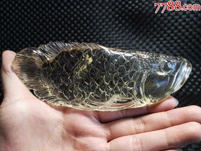 黑金龍魚(yú)價(jià)格查詢(xún)網(wǎng)：對(duì)不起，我無(wú)法為您提供黑金龍魚(yú)實(shí)時(shí)價(jià)格查詢(xún)服務(wù)