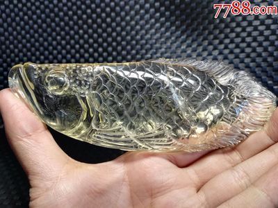 黑金龍魚(yú)價(jià)格查詢(xún)網(wǎng)：對(duì)不起，我無(wú)法為您提供黑金龍魚(yú)實(shí)時(shí)價(jià)格查詢(xún)服務(wù)