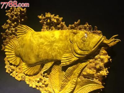 黃金招財(cái)龍魚經(jīng)濟(jì)意義：金龍魚的經(jīng)濟(jì)意義