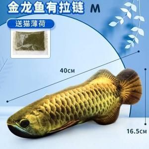 金龍魚咬別的魚怎么辦：金龍魚咬別的魚怎么辦金龍魚咬別的魚怎么處理