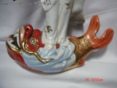 景德鎮(zhèn)龍魚專賣店：關(guān)于景德鎮(zhèn)龍魚專賣店信息的問題