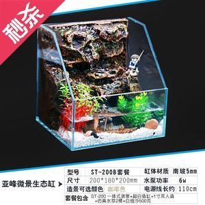 龍魚(yú)缸改造水景缸論壇：龍魚(yú)缸改造水景缸