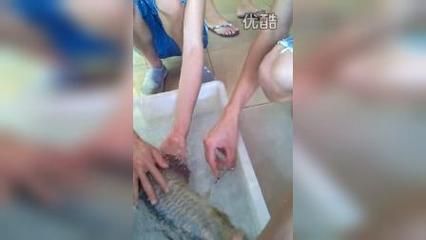 被金龍魚咬了手要緊嗎 龍魚百科 第2張