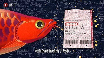 龍魚品牌起名怎么起好聽：龍魚品牌起名怎么起名怎么起好聽龍魚品牌起名怎么起好聽 龍魚百科 第2張