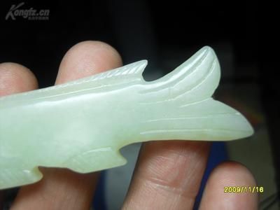 白玉龍魚特點(diǎn)介紹：2019-10-08白玉龍魚 龍魚百科 第2張