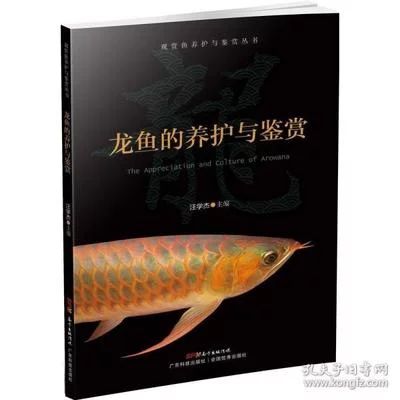 龍魚的養(yǎng)殖技術與方法圖解：龍魚的養(yǎng)殖技術與方法