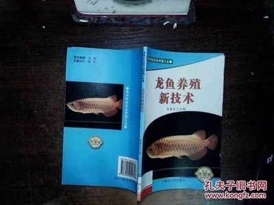 龍魚的養(yǎng)殖技術與方法圖解：龍魚的養(yǎng)殖技術與方法