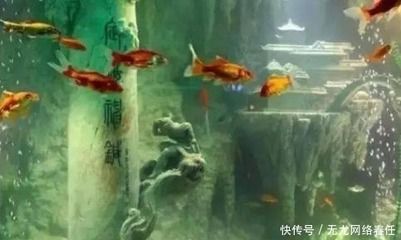 東海龍宮魚缸：東海龍宮魚缸是一件集美觀、文化和技術(shù)于一體的獨特藝術(shù)品