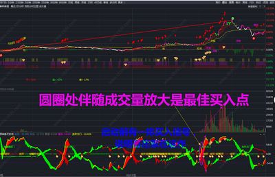 釣龍魚用什么餌料原神：《原神》游戲中釣假龍或金赤假龍應(yīng)該使用什么魚餌 龍魚百科 第3張