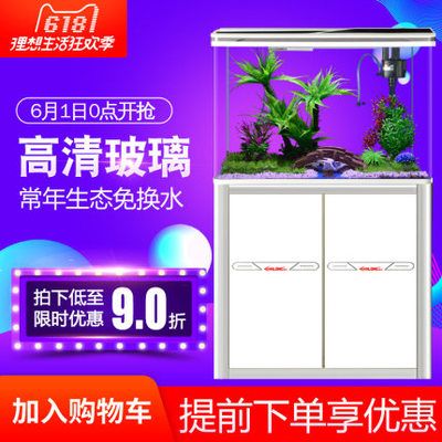 性價比高的龍魚缸有哪些：在選擇龍魚缸時，性價比高的龍魚缸有哪些 龍魚百科 第2張