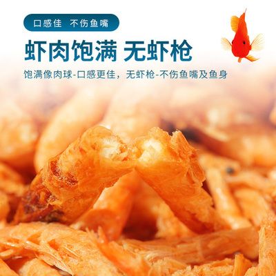 龍魚嘴上長出肉球：龍魚嘴上長出肉球怎么辦 龍魚百科 第3張