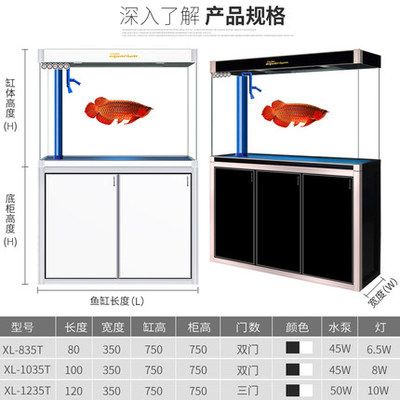 性價比高的龍魚缸：如何選擇性價比高的龍魚缸 龍魚百科 第3張