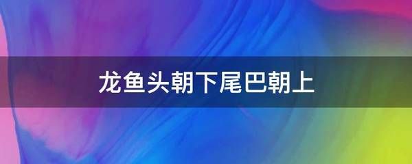 龍魚頭朝下尾巴朝上還能活嗎：龍魚頭朝下尾巴朝上怎么回事