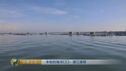 黃龍魚和什么魚一起養(yǎng)：黃龍魚可以與什么魚混養(yǎng) 龍魚百科 第2張