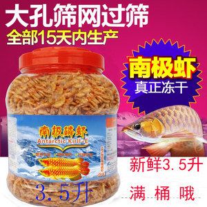 金龍魚吃豐年蝦嗎：金龍魚可以吃豐年蝦嗎 龍魚百科 第2張