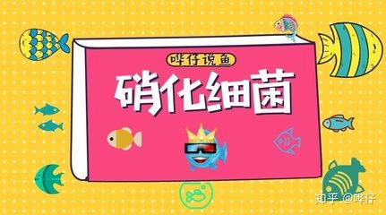 掉眼的龍魚值錢嗎知乎：掉眼的龍魚值錢嗎 龍魚百科 第2張