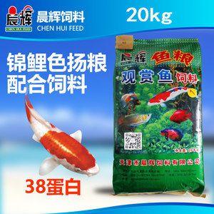 小龍魚苗吃什么飼料最好養(yǎng)活：小龍魚苗在成長過程中需要合適的飼料來保證它們的健康成長 龍魚百科 第3張