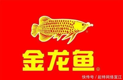 網(wǎng)絡(luò)語(yǔ)金龍魚(yú)是什么意思：“金龍魚(yú)”在網(wǎng)絡(luò)語(yǔ)境中的含義 龍魚(yú)百科 第3張