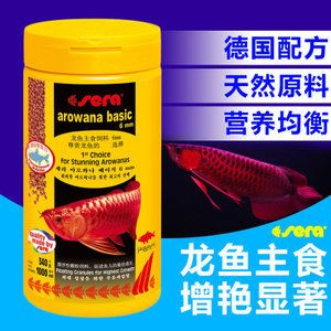 龍魚主食泥鰍段：將泥鰍段作為龍魚的主食之前 龍魚百科 第2張