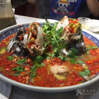 九龍魚頭在長沙有幾家店：九龍魚頭在長沙有幾家店？ 龍魚百科 第3張