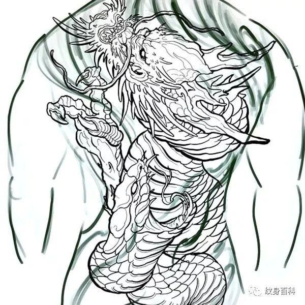 龍魚手稿：有關龍魚手稿的信息