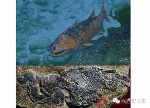 龍魚的化石：龍魚化石為我們提供了2.5億年前海洋生態(tài)系統(tǒng)的寶貴信息