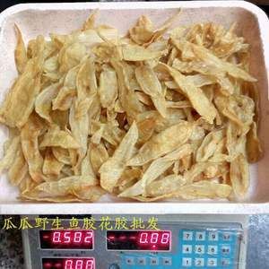 金龍魚膠貴嗎：金龍魚膠價(jià)格受到多種影響，金龍魚膠貴嗎，