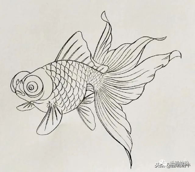 怎樣畫(huà)金龍魚(yú)最簡(jiǎn)單：怎樣畫(huà)金龍魚(yú)最簡(jiǎn)單，兩種相對(duì)簡(jiǎn)單的金龍魚(yú)畫(huà)法供您參考和學(xué)習(xí)