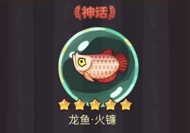 龍魚(yú)微信群：關(guān)于龍魚(yú)微信群的信息