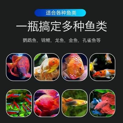 龍魚吃甲硝唑可以嗎怎么喂：甲硝唑可以直接給龍魚食用嗎 龍魚百科 第1張