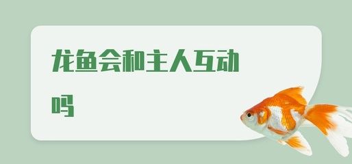 龍魚怎么訓(xùn)練互動的：如何訓(xùn)練龍魚互動 龍魚百科 第1張