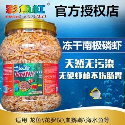 龍魚不吃食怎么調(diào)理腸胃好：龍魚不吃食怎么調(diào)理腸胃好龍魚不吃食怎么辦 龍魚百科 第3張