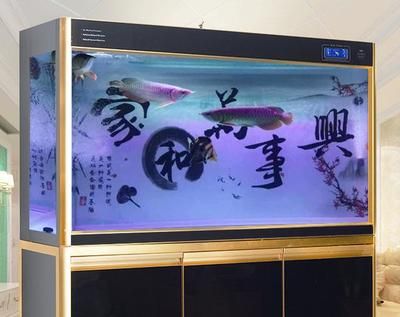 養(yǎng)紅龍魚缸用什么底色和背景顏色好：養(yǎng)紅龍魚時，缸底色和背景顏色的選擇應(yīng)該以黑為主