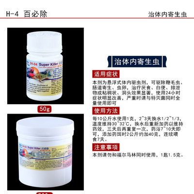 龍魚驅(qū)蟲用什么藥：龍魚驅(qū)蟲藥物及使用方法 龍魚百科 第2張