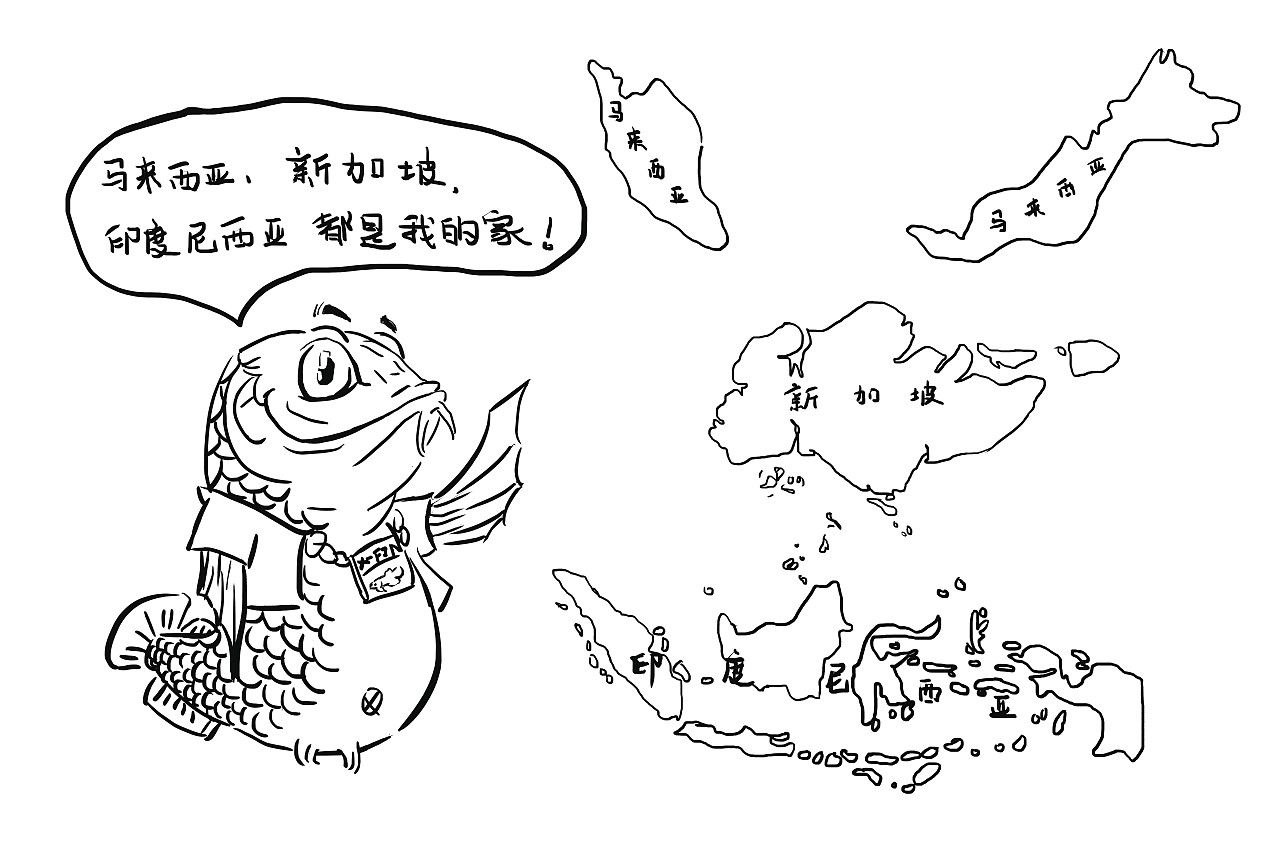 極魚龍魚：極魚龍魚缸售后服務(wù)不佳，實(shí)體店售后服務(wù)更是不懂 龍魚百科 第2張