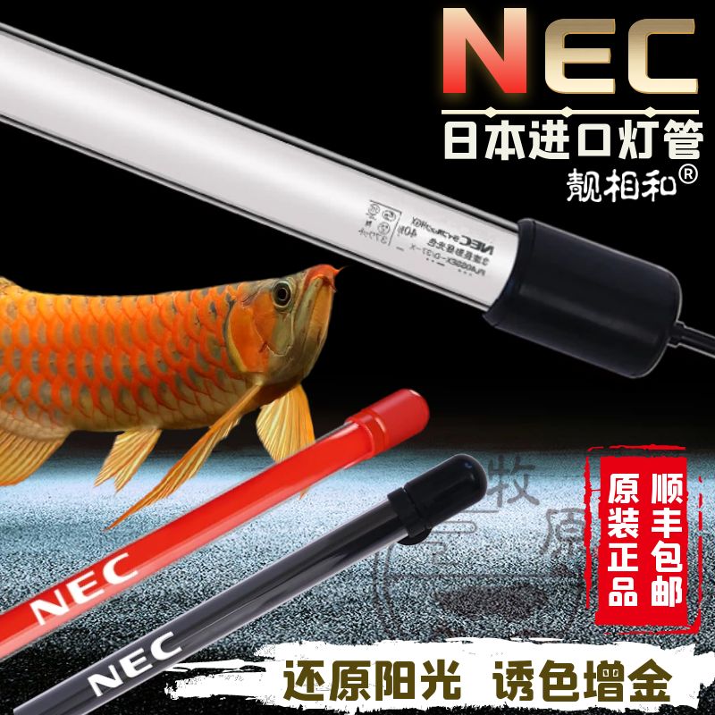 nec龍魚(yú)燈一天要開(kāi)多久：nec龍魚(yú)燈一天開(kāi)多久開(kāi)多久開(kāi)幾個(gè)小時(shí)燈 龍魚(yú)百科 第3張