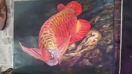 為什么龍魚(yú)關(guān)燈就游：為什么龍魚(yú)關(guān)燈就游動(dòng) 龍魚(yú)百科 第1張