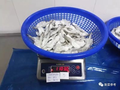 龍魚出口：龍魚出口對當(dāng)?shù)氐臐O業(yè)經(jīng)濟有什么影響？ 龍魚百科 第2張